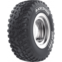 PNEU RADIAL INDUSTRIEL ASCENSO MDR 1000 (avec ceinture acier) - 250/75R16 TL 120G