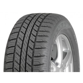 PNEU GAZON GOODYEAR ALL WEATHER - 16.9-24 TL 6PR